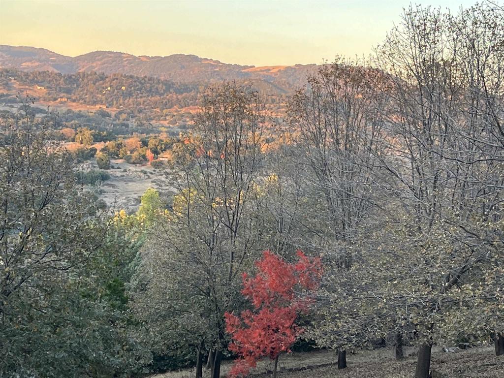 4129 Eagle Peak