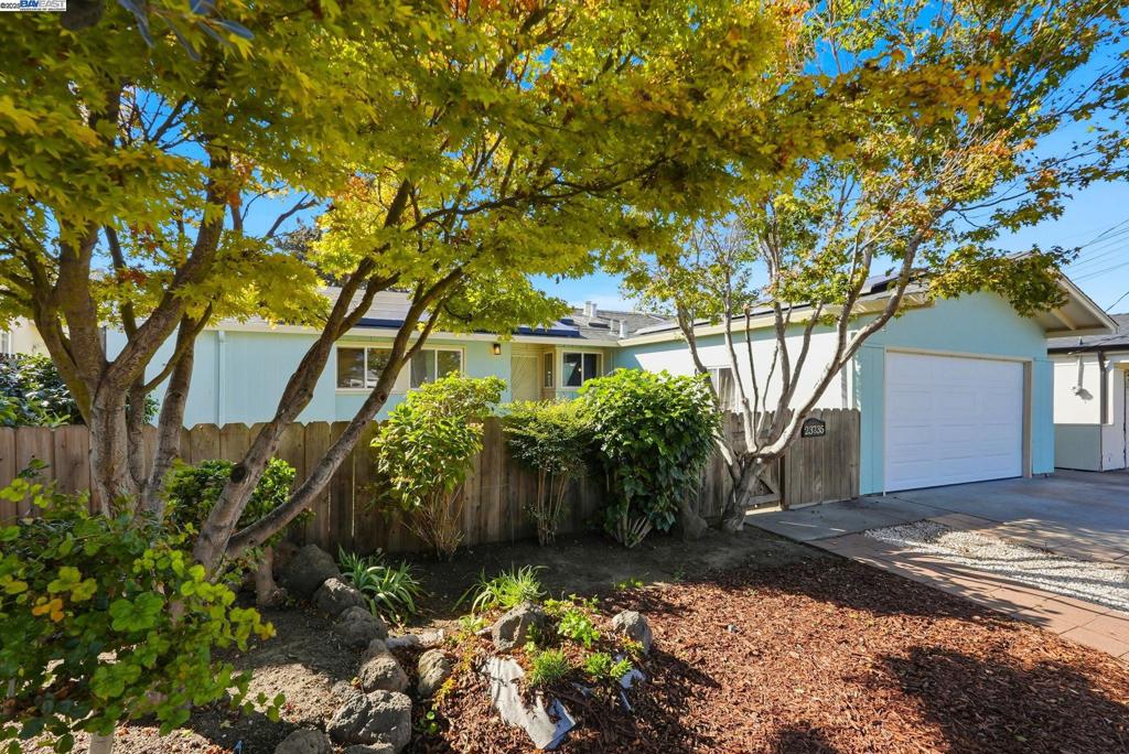 WINTON GROVE - Residential