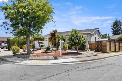 Photo of 3207 DEFOE CT. CT, Fremont, CA 94536 (MLS # 41138060)