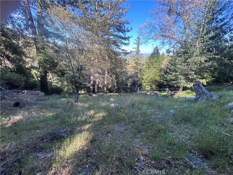 Photo of 342 CANYON DR DR, Cedarpines Park, CA 92322 (MLS # DW26110133)