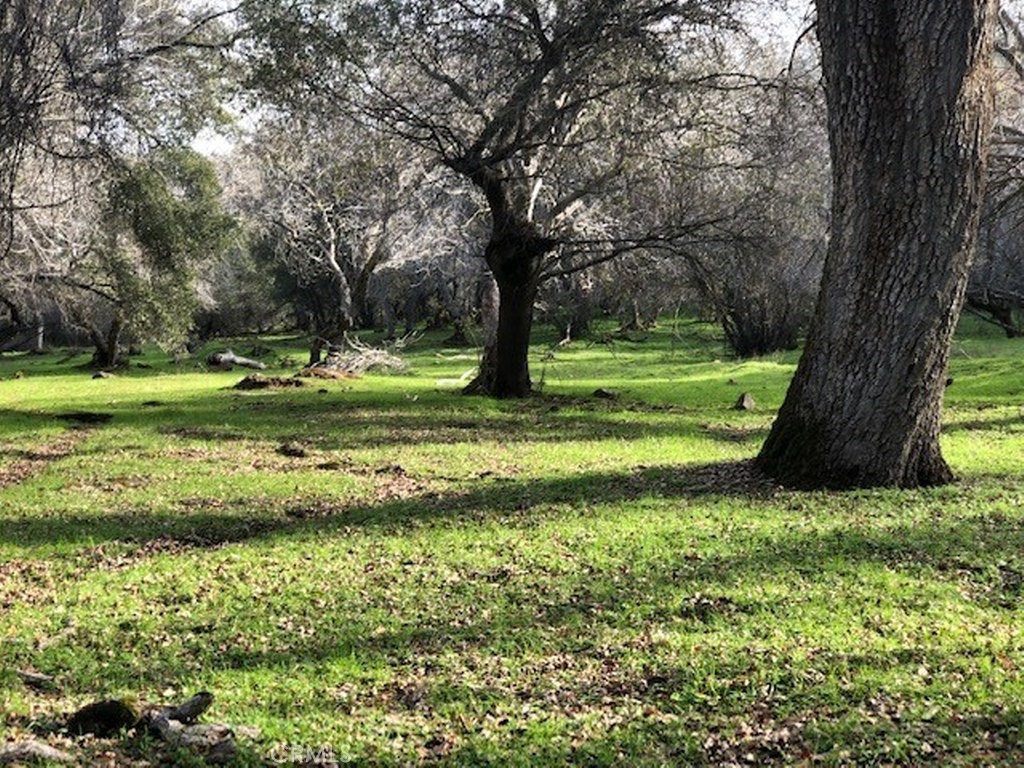 157 Acres Mountain View Peak Road