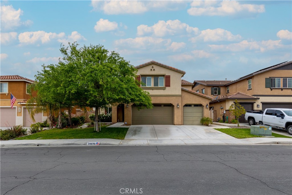 36696 Pavic Court