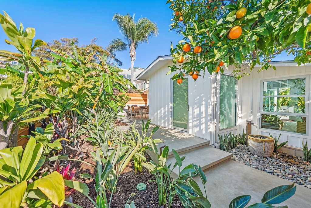 ABSOLUTELY THE NICEST HOME AVAILABLE! STUNNING NORTH LAGUNA COTTAGE WITH SOME OCEAN VIEWS . This spacious modern one bedroom one bath secluded and private tropical oasis is offered fully furnished and features open beamed ceilings, light and bright rooms, with honed concrete flooring throughout. This designer furnished cottage has an open floor plan that flows out onto private outdoor patios making for an enchanting indoor/outdoor atmosphere. The gourmet kitchen is fully equipped and perfect for entertaining. The bedroom has large built-in closets and direct access to the rear patio. The bathroom has a large shower, vanity and a separate laundry room with a washer/dryer. The house has all LED lighting, power operated shades and a modern HVAC system. Private outdoor shower. Tropical Oasis with Tangelos, Pineapples, bananas , lemons and limes! There is charging port