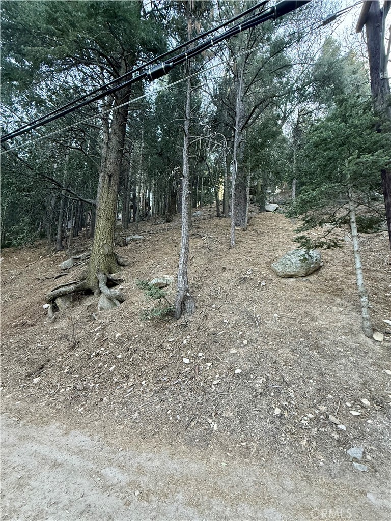 0 Scenic View
