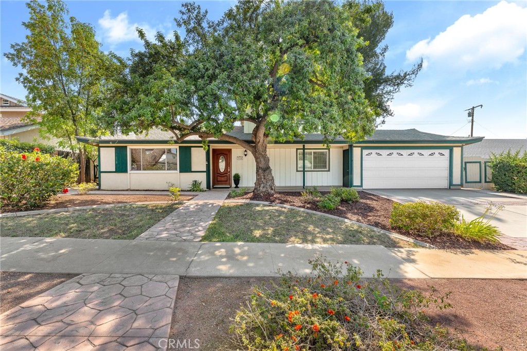 Welcome to this charming home in Redlands, cherished by the same family for 45 years! Nestled on a tranquil cul-de-sac, this spacious residence features 4 bedrooms and 2 baths, making it perfect for families. Enjoy the convenience of two bedrooms located downstairs, ideal for guests or easy accessibility.
As you step inside, you'll be greeted by a beautiful fireplace that adds warmth and character to the separate living and dining areas. A large kitchen with beautiful custom cabinets and plenty of storage. The large backyard offers endless possibilities for outdoor entertaining, gardening, or simply relaxing in your private space. Plenty of room to add your own touches.
Recent upgrades include new electrical panel, fresh paint, and new carpet throughout, roof is less than 8 years old, ensuring a move-in ready experience. Located in a well-established neighborhood, this home is conveniently close to hospitals, schools, and downtown Redlands, providing both comfort and convenience. This home is located less than a quarter mile from Smiley Elementary!! Don't miss the opportunity to make this beloved home your own!