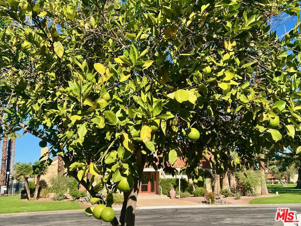 Mountain View Villas - Residential