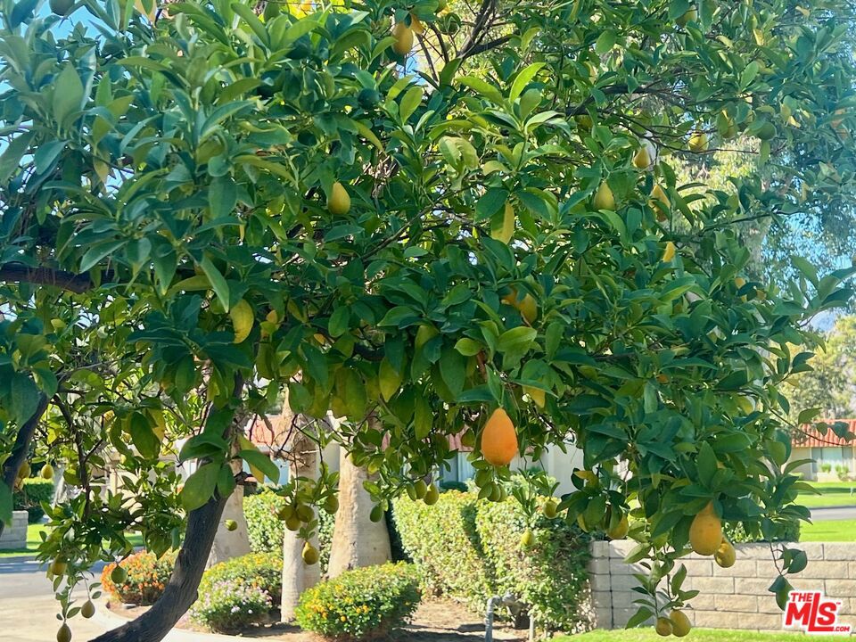 Mountain View Villas - Residential