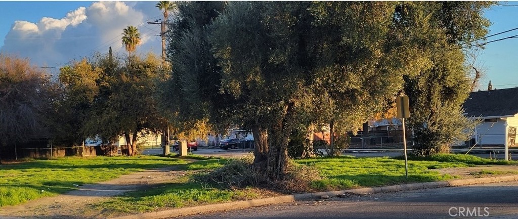 25244 N Buena Vista