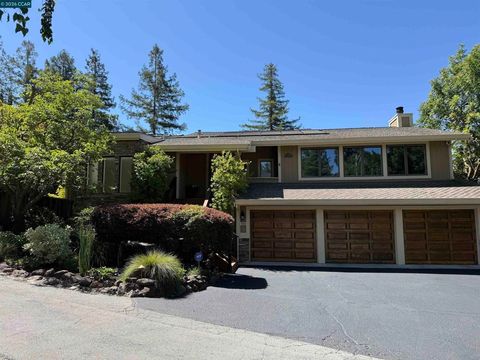 Photo of 304 Livorna Heights Rd Rd, Alamo, CA 94507 (MLS # 41137028)