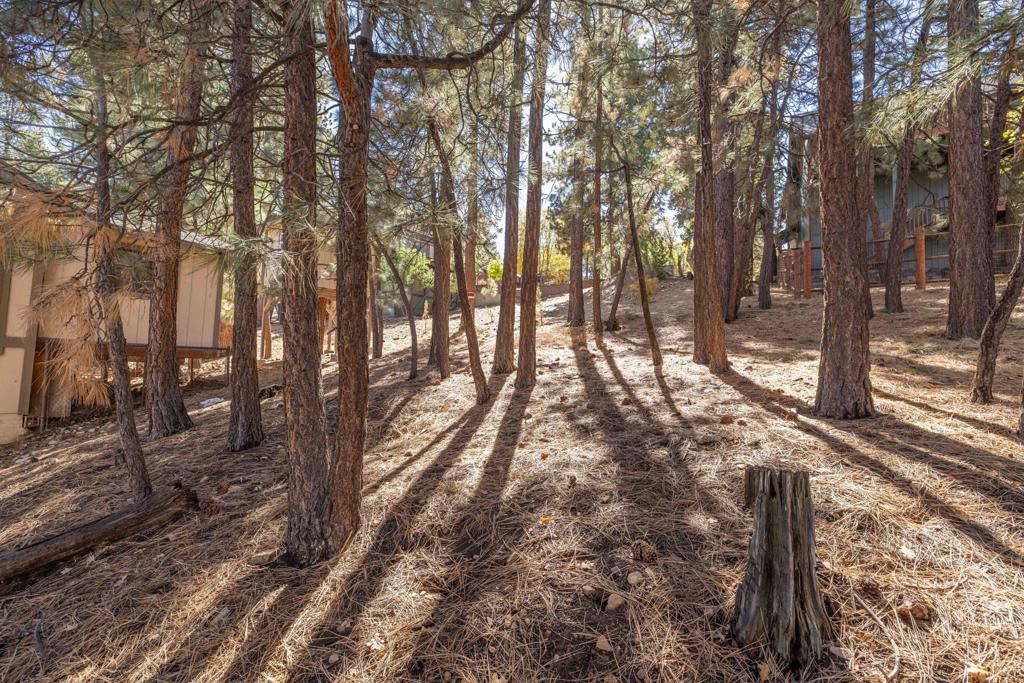 Not Applicable-1 - Land