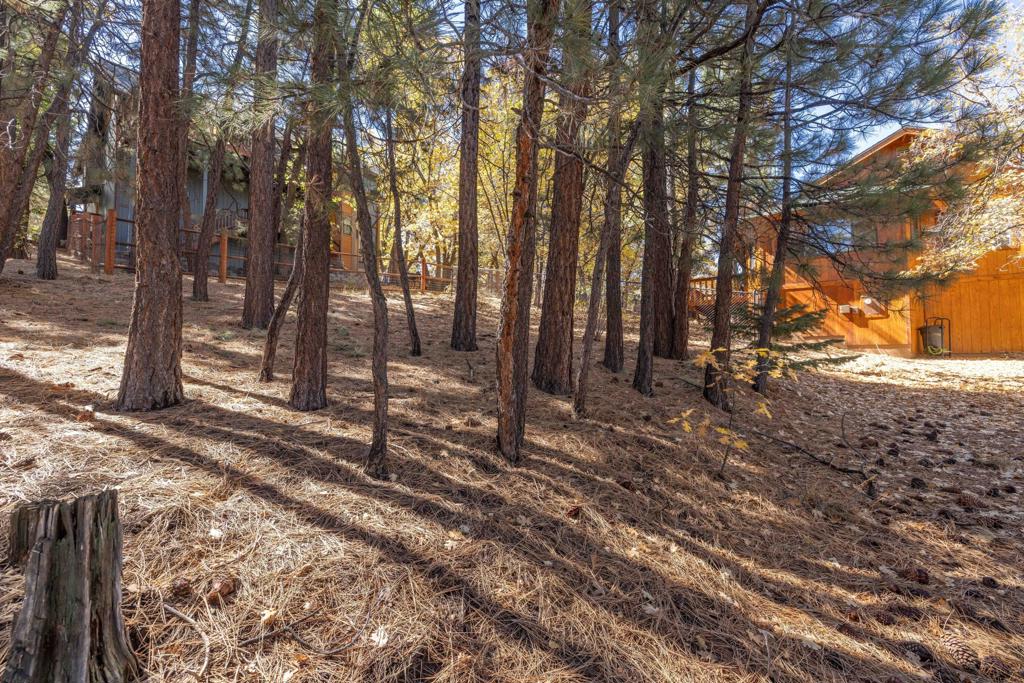 Not Applicable-1 - Land