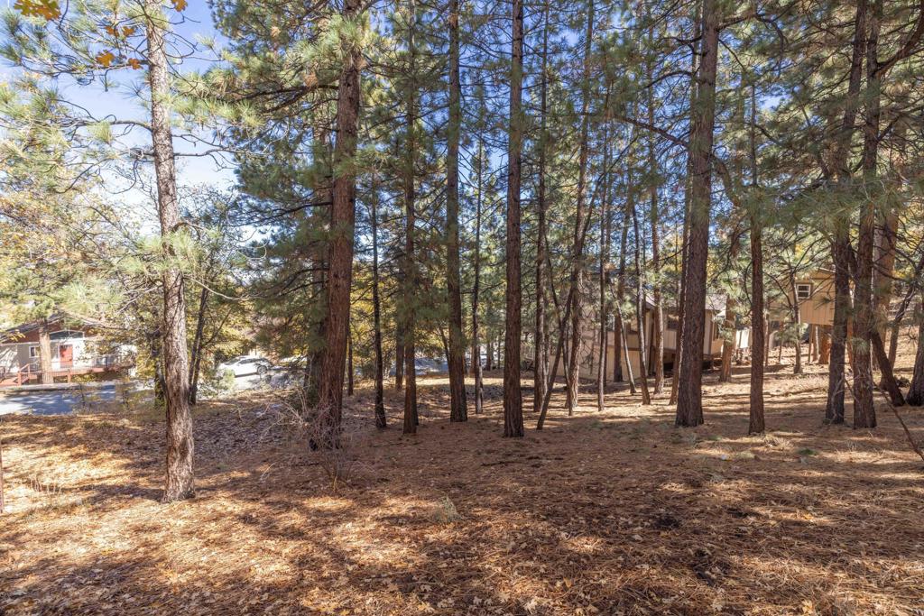 Not Applicable-1 - Land