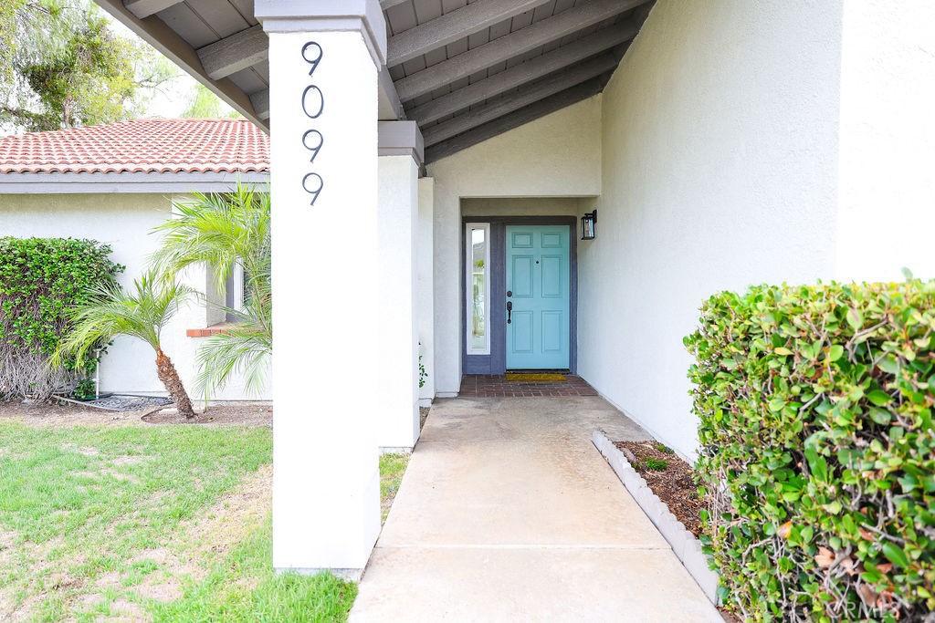 9099 Mandarin Lane