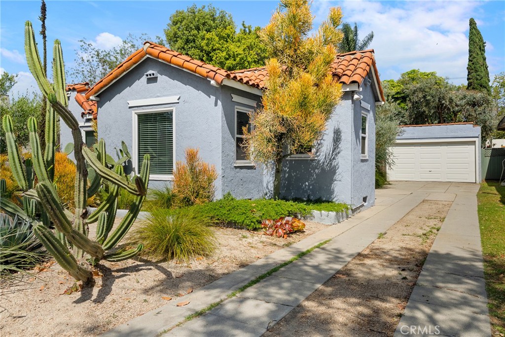 2240 Eucalyptus