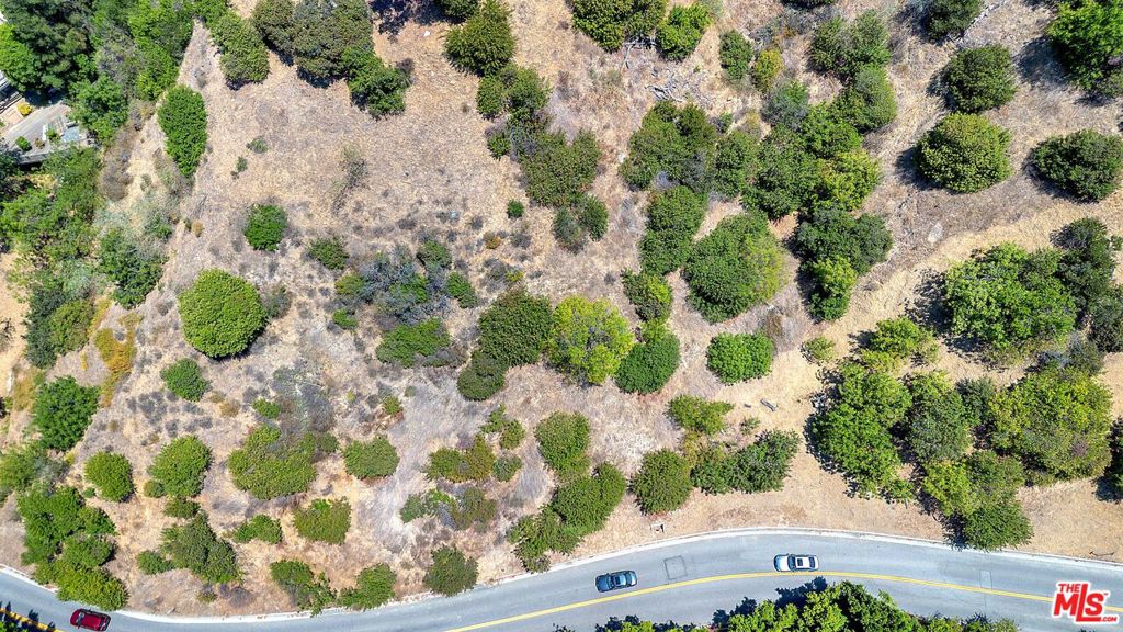 2813 Benedict Canyon Dr
