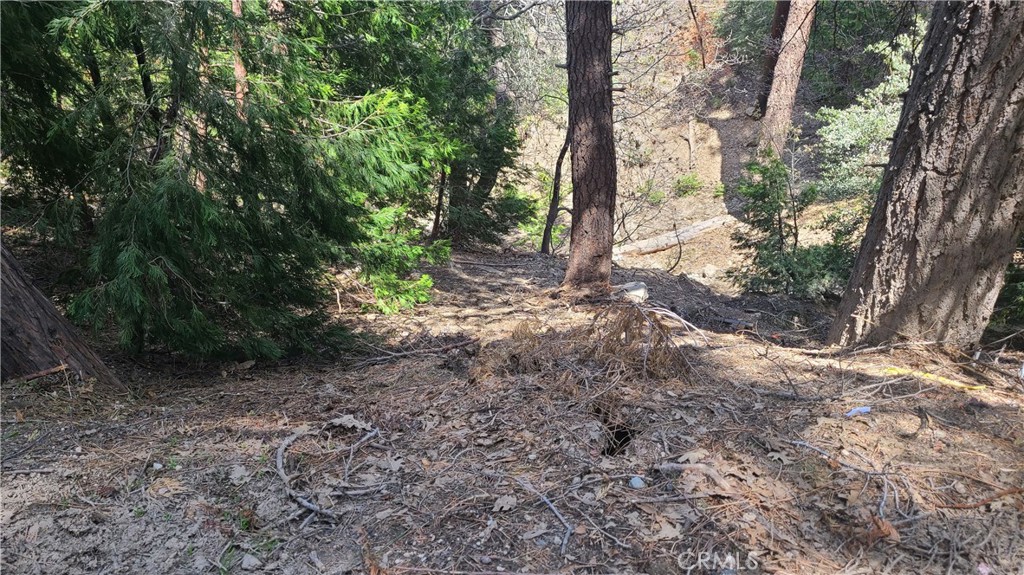 29186 Arrowhead Drive