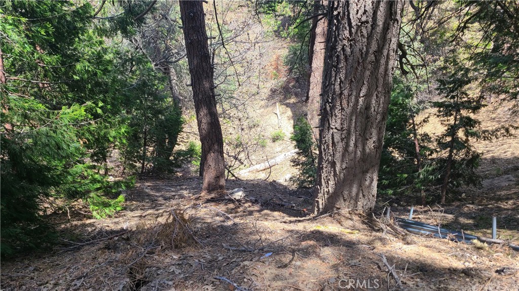 29186 Arrowhead Drive