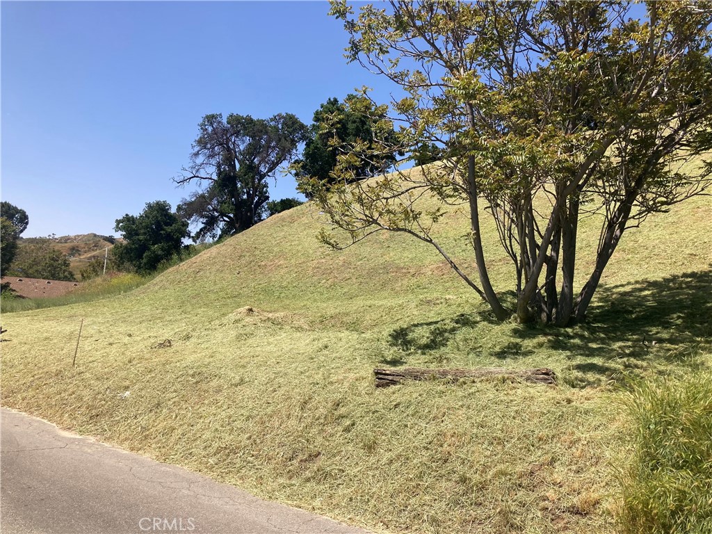 Custom Val Verde (CVVER) - Land