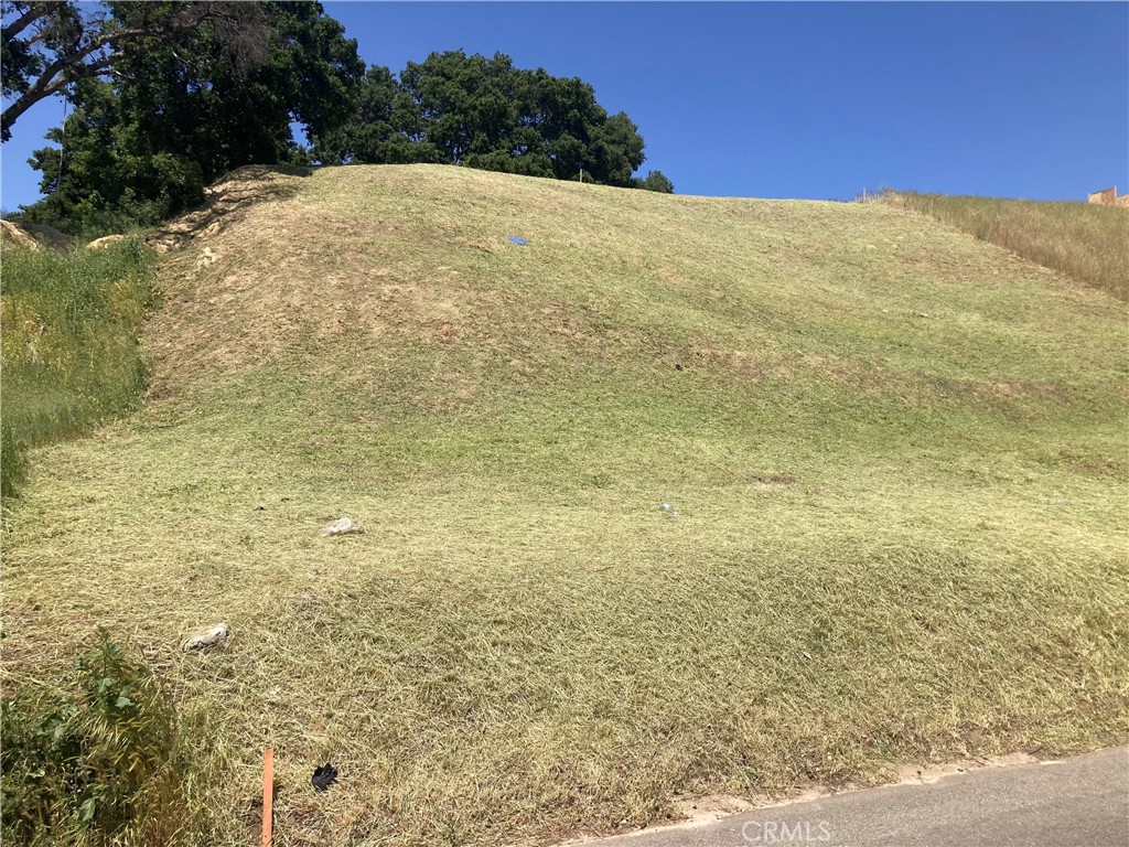 Custom Val Verde (CVVER) - Land