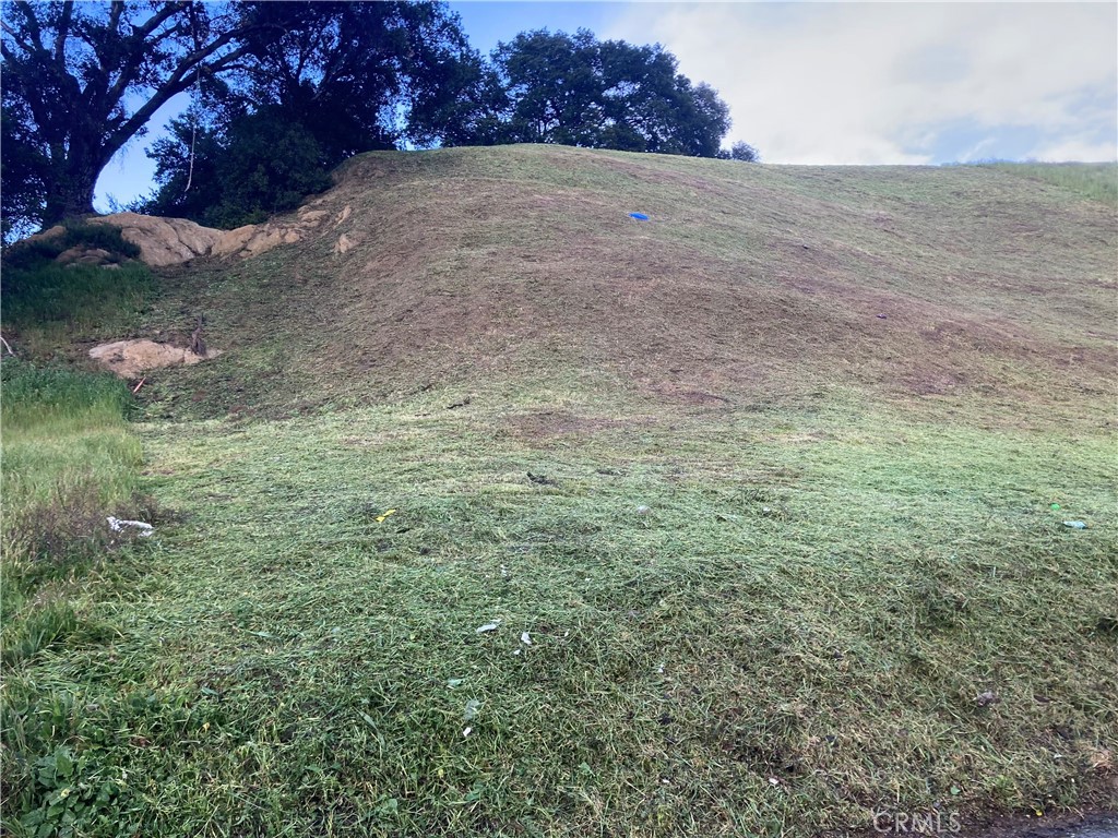 Custom Val Verde (CVVER) - Land