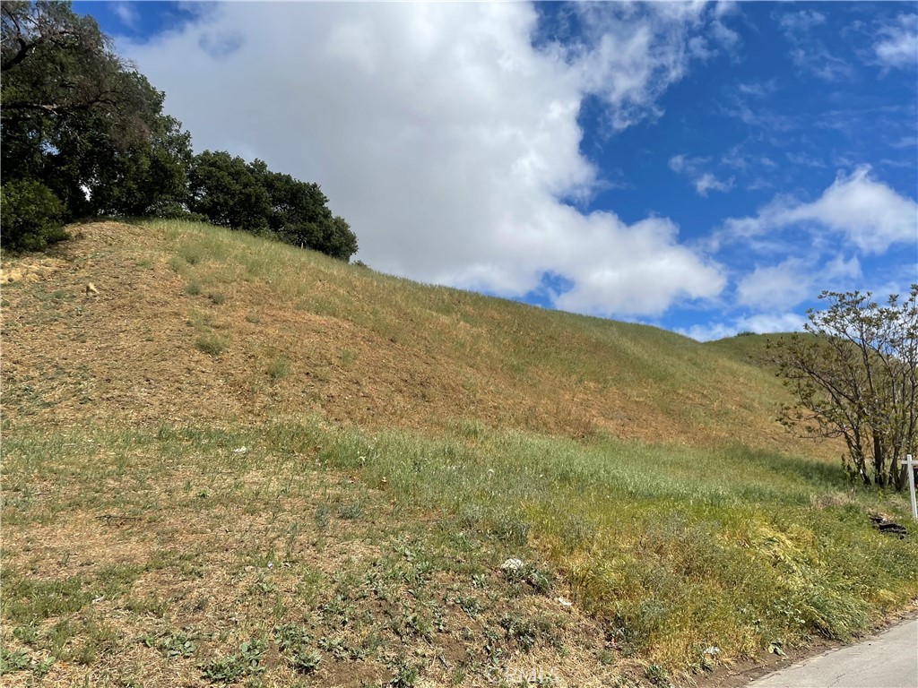 Welcome to the peaceful and scenic community of Val Verde! This vacant lot is tucked away in a quiet residential neighborhood, surrounded by rolling hills and mountain views. Enjoy the tranquility of country-style living while still being just a short drive from the conveniences of the city. Build your custom dream home in this serene setting, ideally located near Castaic, Valencia, Santa Clarita, Six Flags Magic Mountain, Lake Piru, Castaic Lake, shopping, dining, and more. Ventura Beach is also within reasonable driving distance, perfect for weekend getaways. Convenient access to the historic Highway 126 adds to the appeal. The neighboring lot apn, 3271-020-015 is also available and can be sold together for added space and opportunity. Don’t miss your chance to own a slice of peaceful paradise with easy access to it all!