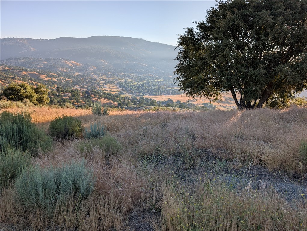 VIEW LOT with Valley & Ranch Vistas — Escape to 4,500?ft Tranquility! Nestled at the high-end 4,500-foot elevation on the West edge of Tehachapi’s coveted Bear Valley Springs, this premium view lot on Fox Ridge Court offers sweeping panoramas across the valley floor and Tejon Ranch to the west. Embrace serene mornings with pastel sunrises and starlit evenings in this heavily gated, semi-public community—an idyllic alpine retreat just 90 miles from Los Angeles. Lot Highlights: Elevated vantage point with unobstructed valley & ranch views. Gentle slope ideal for a daylight ranch-style or modern mountain home design. Paved access with underground utilities in the road and power pole across street. Lot dimensions almost 4 ?acres—ample space for your dream mountain home, garage, or equestrian facility (subject to county approval) ?? Community & Lifestyle Amenities:Bear Valley Springs Association (BVSA) annual assessments cover exclusive amenities—golf course, pool, lakes, trails, campgrounds, shooting range, dog park, tennis/pickleball courts, plus two full-service restaurants: The Oaks & Oak Branch Saloon, and the Mulligan Room café?. Latest HOA news includes the July 2025 assessment mailing, Fourth of July schedule, Community Character: Gated, guard-gated entry at 4,121–6,934?ft elevation with year-round security. Semi-public structure: roads/water/district services by BVCSD; amenities managed by BVSA? Strong sense of community with monthly board meetings, annual elections, and active Environmental Control Committee (ECC) and Resident’s group (BVRI) overseeing design standards & neighborly cooperation?. Easy access to Tehachapi amenities (shopping, schools, hospital) just 15 min down the mountain. Potential Build & Lifestyle Possibilities: Capture the iconic sunset through floor-to-ceiling windows, or design a custom wrap-around deck and infinity-style pool to showcase the panoramic views. Create an equestrian-friendly estate with barn/stables and riding trails at your doorstep. Ideal for family compound or inspiring vacation home with spa, firepit patio, and outdoor kitchen. Ready-to-build value: With paved road frontage, utility access, HOA-approved natural rustic building palette, and awe-inspiring valley and ranch views, this Fox Ridge Court lot is more than land—it’s a blank canvas for your dream mountain estate.