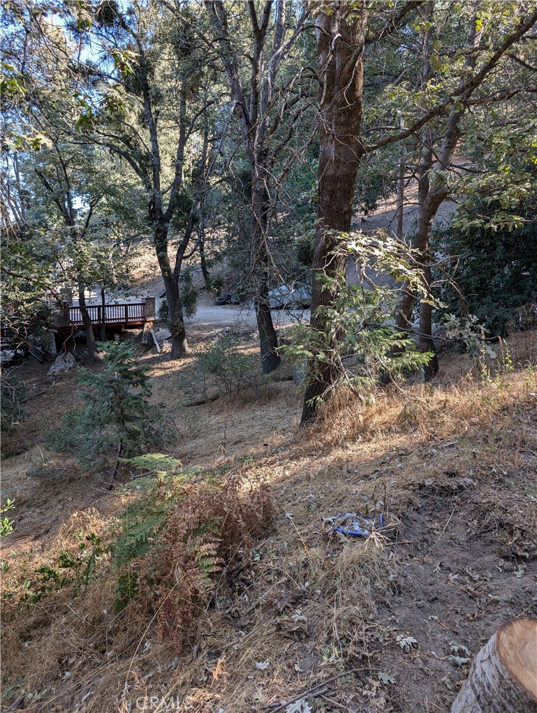This is an exceptional opportunity to build your cozy cabin in the Mountains near Lake Gregory. Utilities are available, all interested buyers should contact local services. Scenic View dr. is partially paved leading to the subject property.