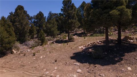Photo of 0 Upland, Big Bear City, CA 92314 (MLS # IG25173762)