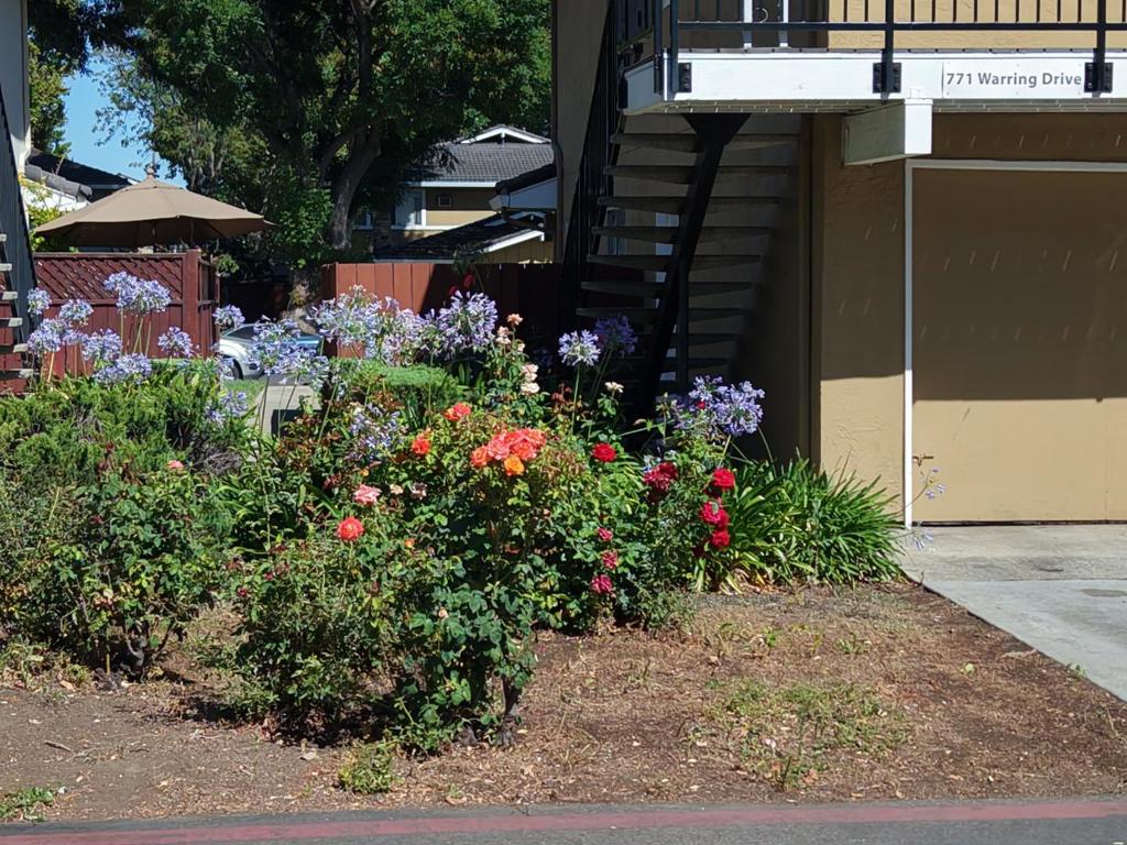 771 Warring Drive 2, San Jose CA 95123