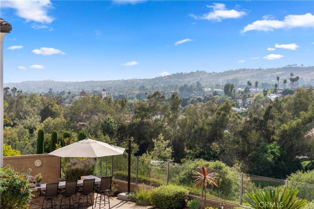 27381 Via Priorato, San Juan Capistrano CA 92675 - Photo 67