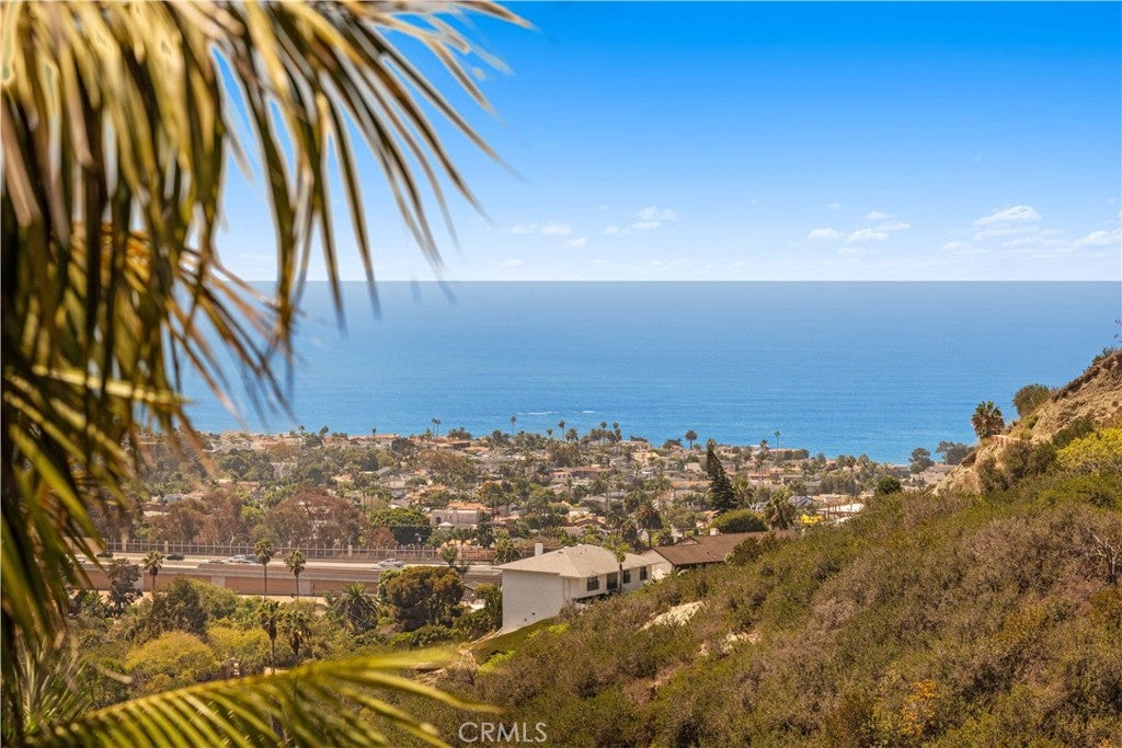 525 E Avenida San Juan, San Clemente CA 92672 - Photo 39