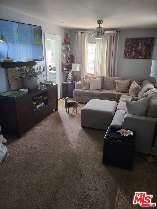 317 W 120th Street, Los Angeles CA 90061