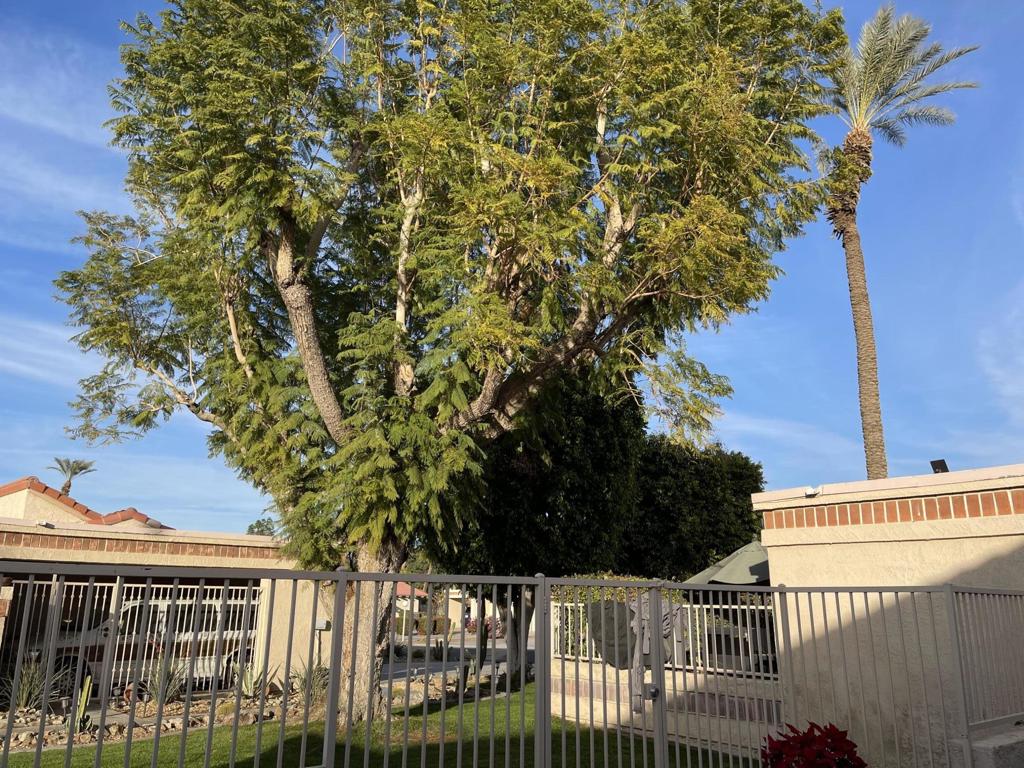 Indian Palms (31432) - Residential