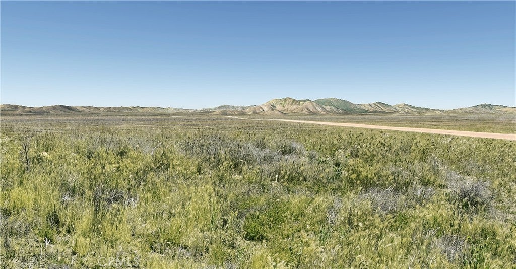 13433 Seven Mile Road