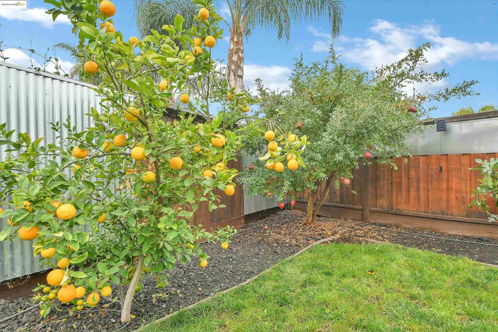 ROSE GARDEN - Residential