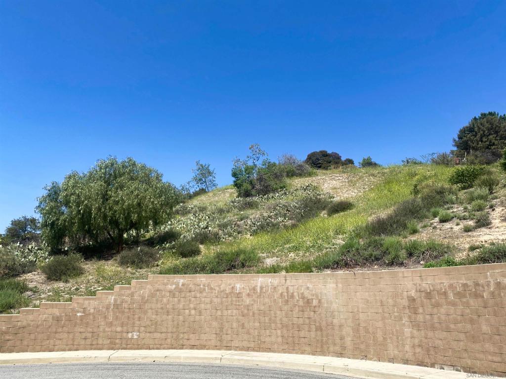15 Yucca Ct