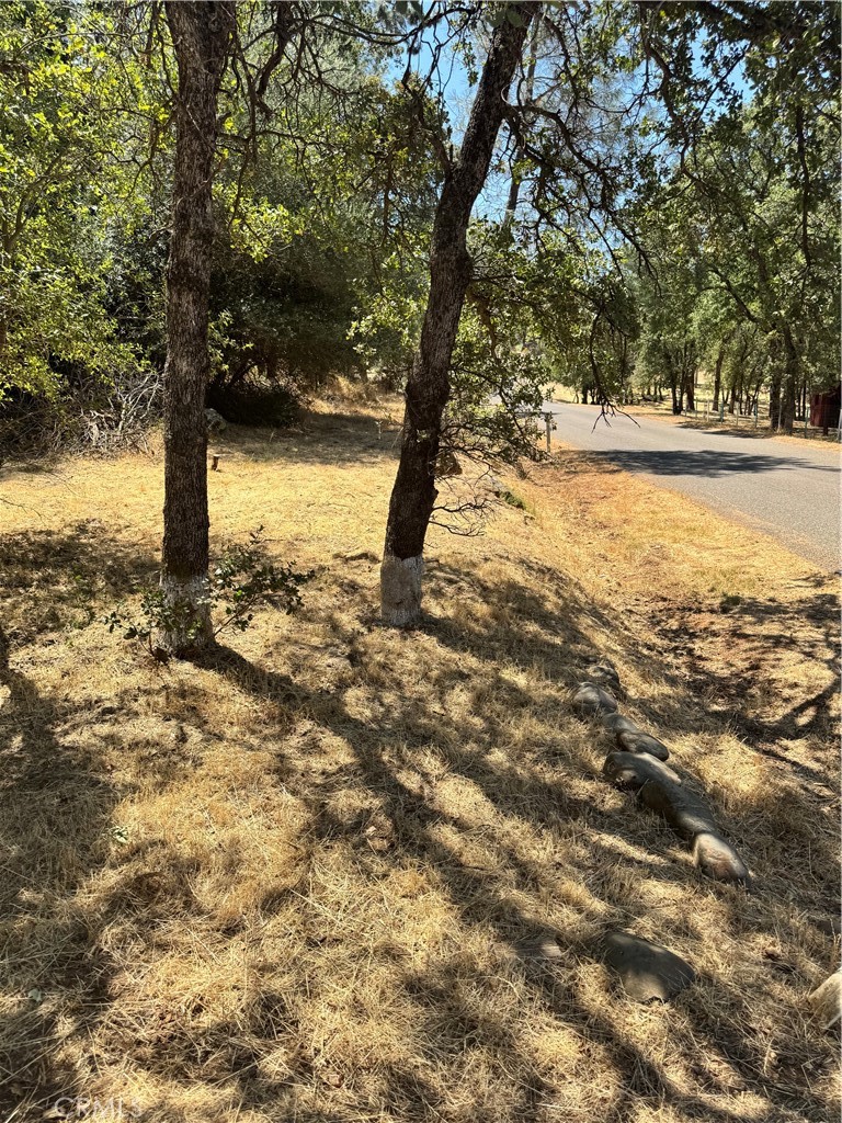 Charming Half-Acre Lot in Growing Oroville Neighborhood
Lot 3–5, Block 43 | Western Pacific Subdivision
Don’t miss this rare opportunity to own a beautiful, tree-filled half-acre in an up-and-coming area of Oroville. With verified water and electric already on site, this parcel is ready for your vision—just install septic and build your dream. Peaceful setting, established trees, and plenty of potential.
Ready to invest or build? This one won’t last.