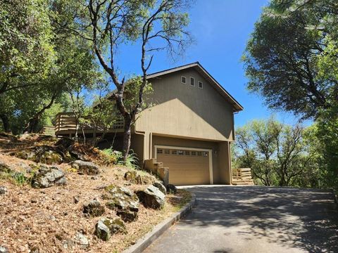 Photo of 1416 Blue Tent Court, Cool, CA 95614 (MLS # ML82044759)