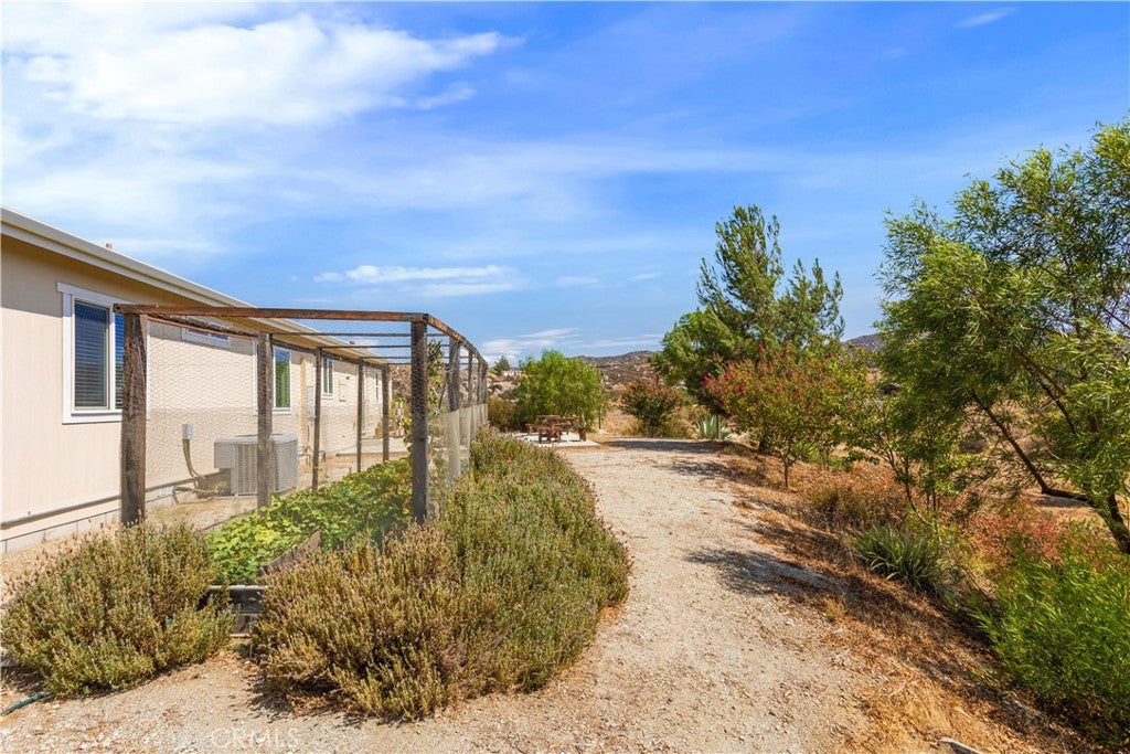 22225 Purple Sage