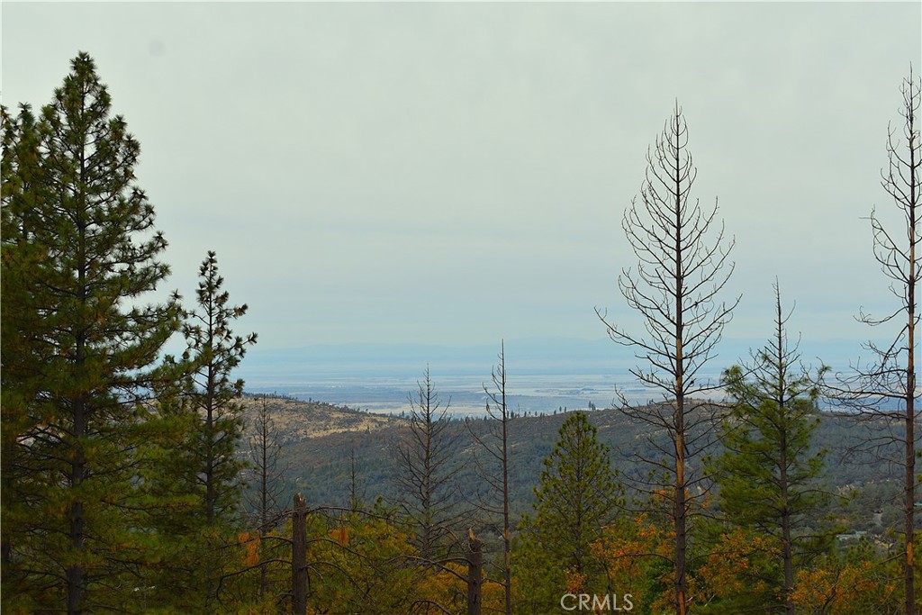 VIEWS and PRIVACY are a couple of the best features of 233 Renegade Rd. This 3.27 acre property is located at the end of a road and features a spectacular view of the valley and the Sutter Buttes! There are several large, terraced pads that sit above the home. The view of the sunsets from these pads is amazing! The home on this property is a 2 Bedroom, 2 Bathroom, 1975 manufactured home that features an additional bedroom and bathroom that has been added onto it. The property has 2 wells and numerous sheds and outbuildings. The peaceful setting of this property is one that you have to experience in person to truly appreciate. Call your favorite Realtor to make an appointment to view this unique property!