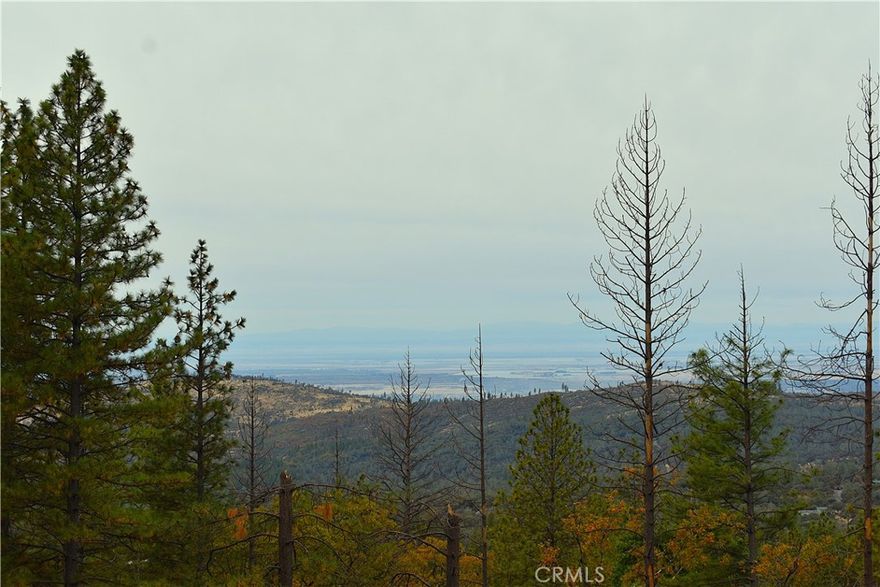 VIEWS and PRIVACY are a couple of the best features of 233 Renegade Rd. This 3.27 acre property is located at the end of a road and features a spectacular view of the valley and the Sutter Buttes! There are several large, terraced pads that sit above the home. The view of the sunsets from these pads is amazing! The home on this property is a 2 Bedroom, 2 Bathroom, 1975 manufactured home that features an additional bedroom and bathroom that has been added onto it. The property has 2 wells and numerous sheds and outbuildings. The peaceful setting of this property is one that you have to experience in person to truly appreciate. Call your favorite Realtor to make an appointment to view this unique property!