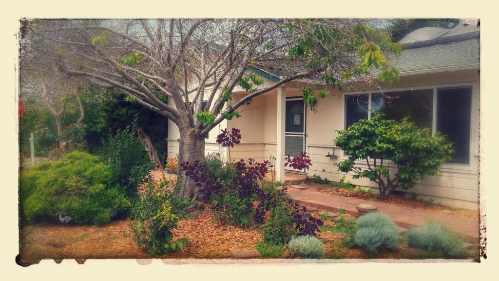 This home needs some care and some new touches. Bring your ideas to make this a special place that works for you. Just a short walk to the ocean in a Great Neighborhood it is a perfect location for retirement or starting a family. There is room to grow here. Flowers, Fruit, or Veggies or use to space to add a room.