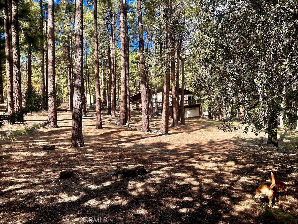 5809 Pine