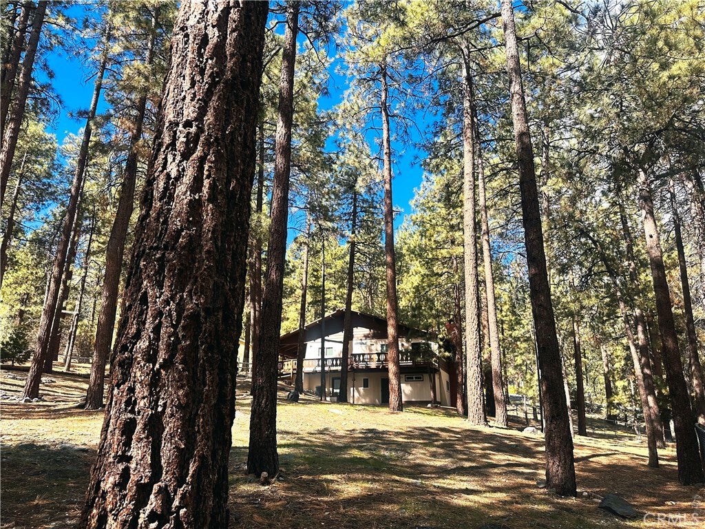 5809 Pine