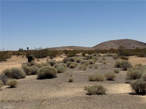 Photo of 0 Darrel Court, California City, CA 93505 (MLS # PW25192987)