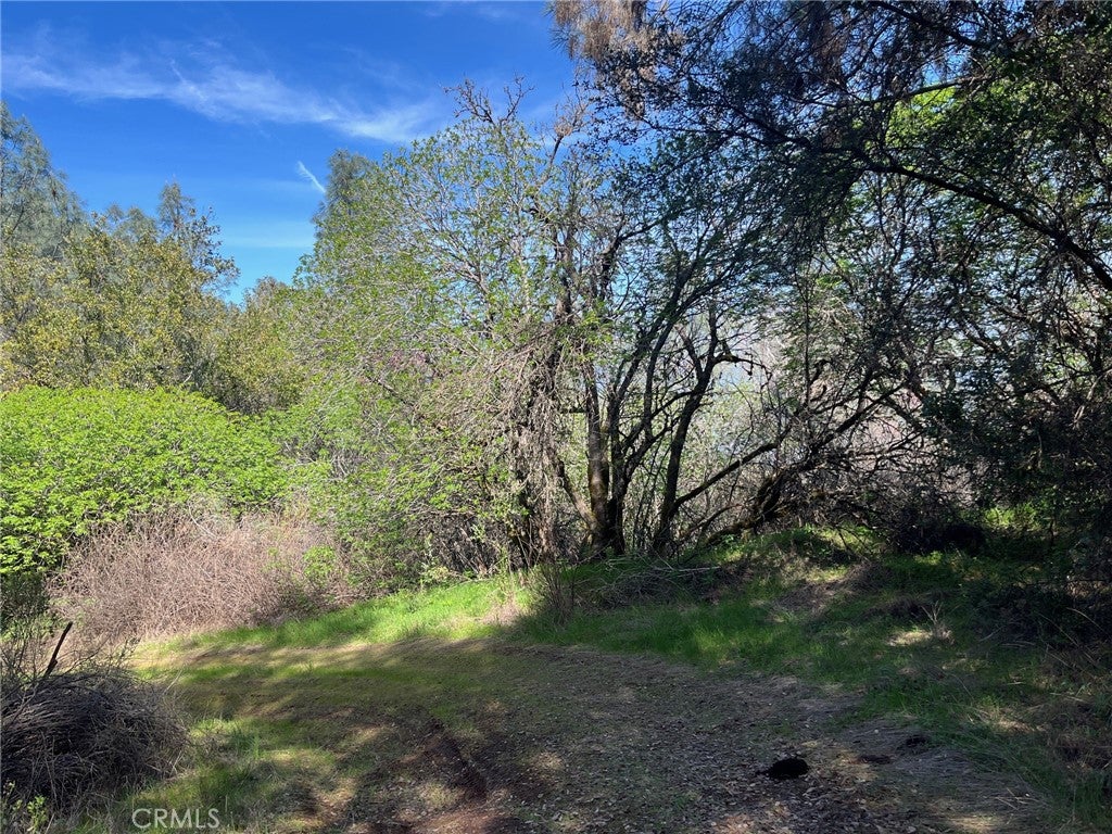 6189 Soda Bay Road