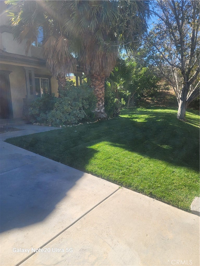 3500 Desert Oak