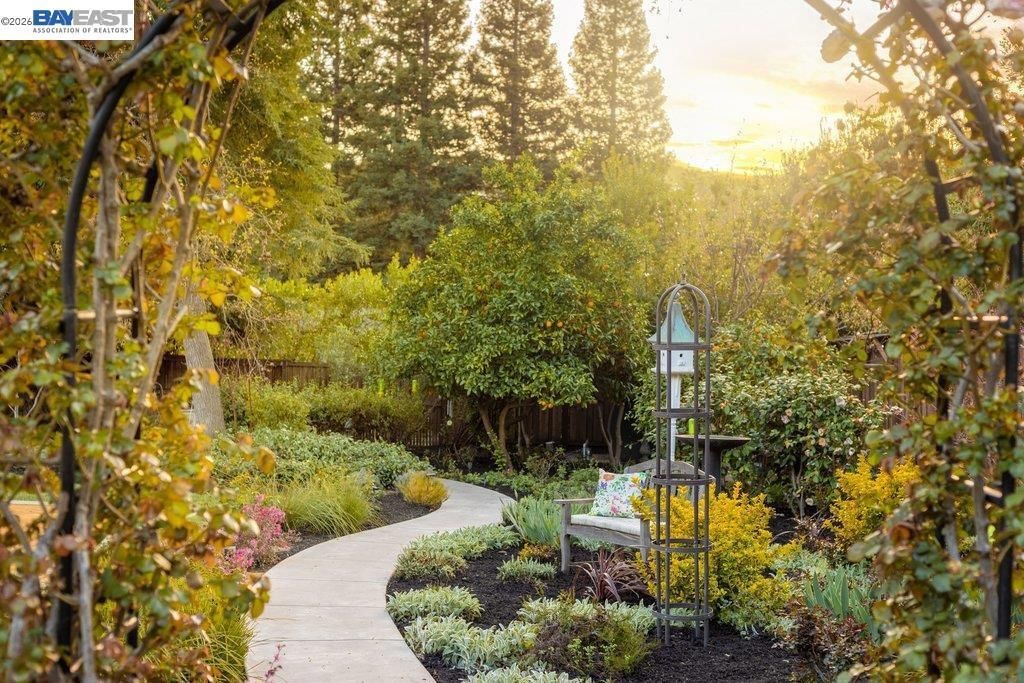 Photo of 1397 Pine Tree Dr Dr, Alamo, CA 94507 (MLS # 41127299)