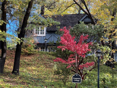 Photo of 28972 North Shore Road Rd, Lake Arrowhead, CA 92352 (MLS # IG25261092)