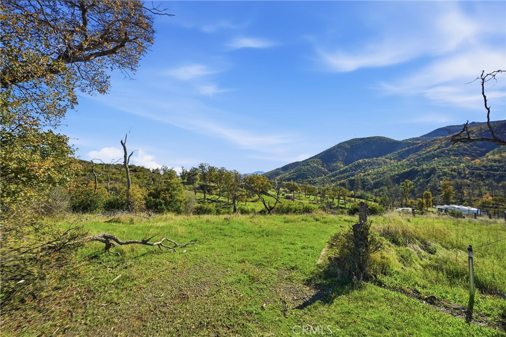 19576 State Highway 175